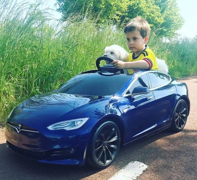 daily picdump 94 pics 27.html - 94 HD Photos | Premium Gallery 2018