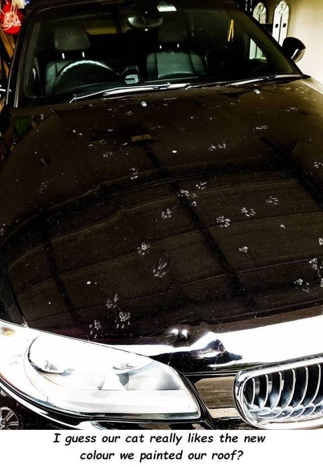 daily picdump 94 pics 27.html - 94 HD Photos | Premium Gallery 2018