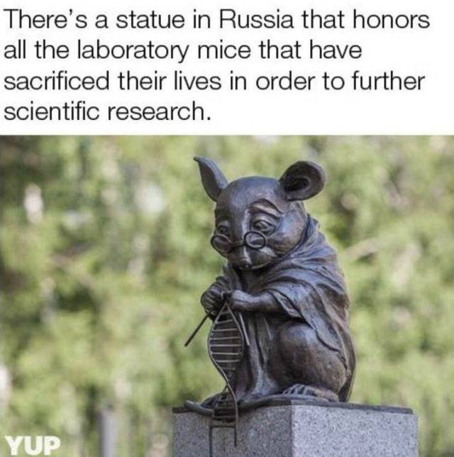 daily picdump 94 pics 27.html - 94 HD Photos | Premium Gallery 2018