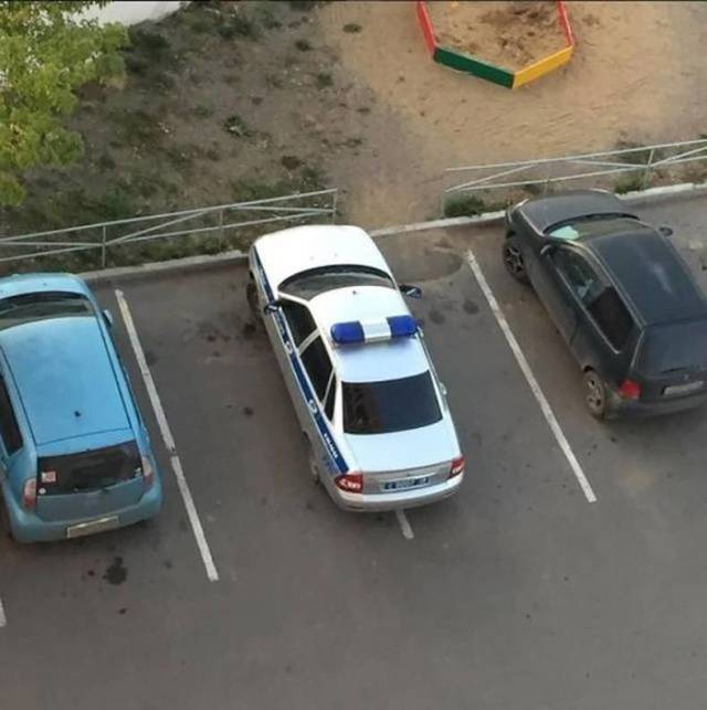 daily picdump 94 pics 27.html - 94 HD Photos | Premium Gallery 2018