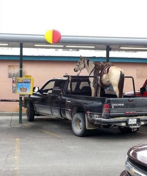 morning picdump 51 pics 2.html - 51 HD Photos | Premium Gallery 2018