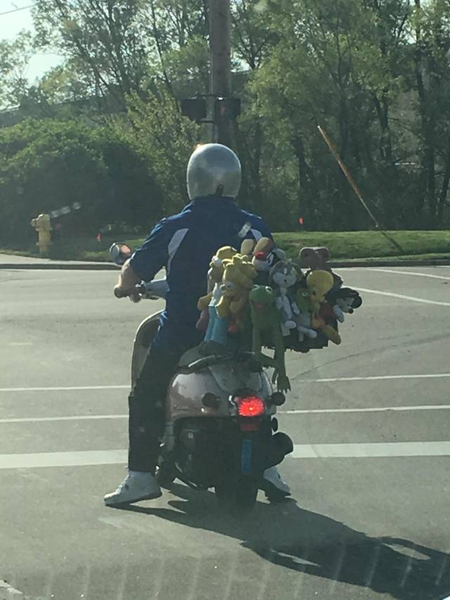 morning picdump 50 pics 18.html - 50 HD Photos | Premium Gallery 2018