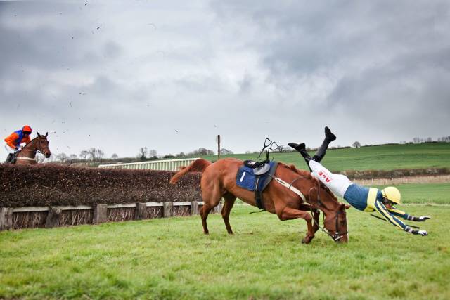 daily picdump weekend edition 77 pics 29.html - 77 HD Photos | Premium Gallery 2018