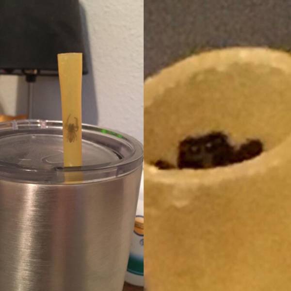 daily picdump weekend edition 77 pics 29.html - 77 HD Photos | Premium Gallery 2018