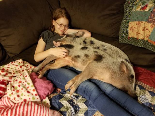 daily picdump weekend edition 77 pics 29.html - 77 HD Photos | Premium Gallery 2018