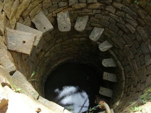 daily picdump weekend edition 77 pics 29.html - 77 HD Photos | Premium Gallery 2018