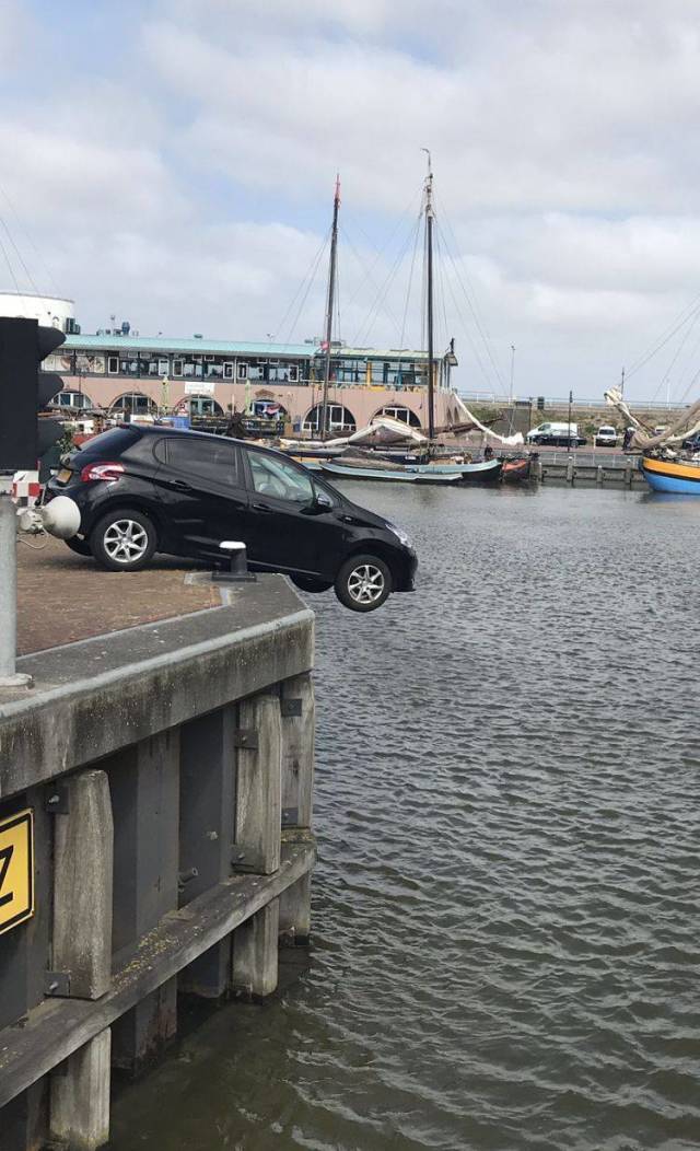 Daily Picdump [WEEKEND EDITION]