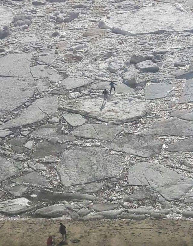 daily picdump weekend edition 77 pics 29.html - 77 HD Photos | Premium Gallery 2018