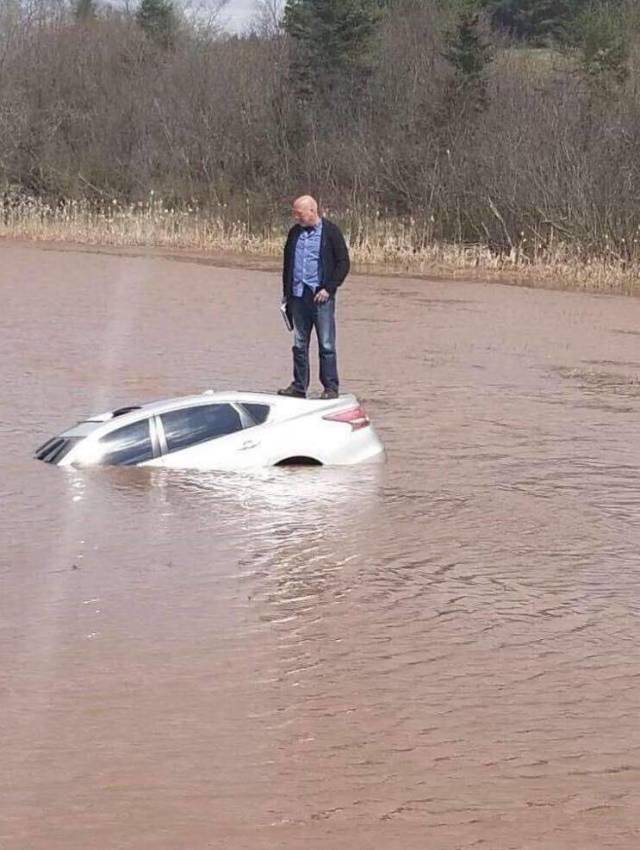 daily picdump weekend edition 77 pics 29.html - 77 HD Photos | Premium Gallery 2018