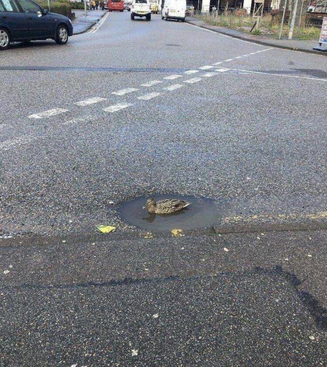 daily picdump weekend edition 77 pics 29.html - 77 HD Photos | Premium Gallery 2018