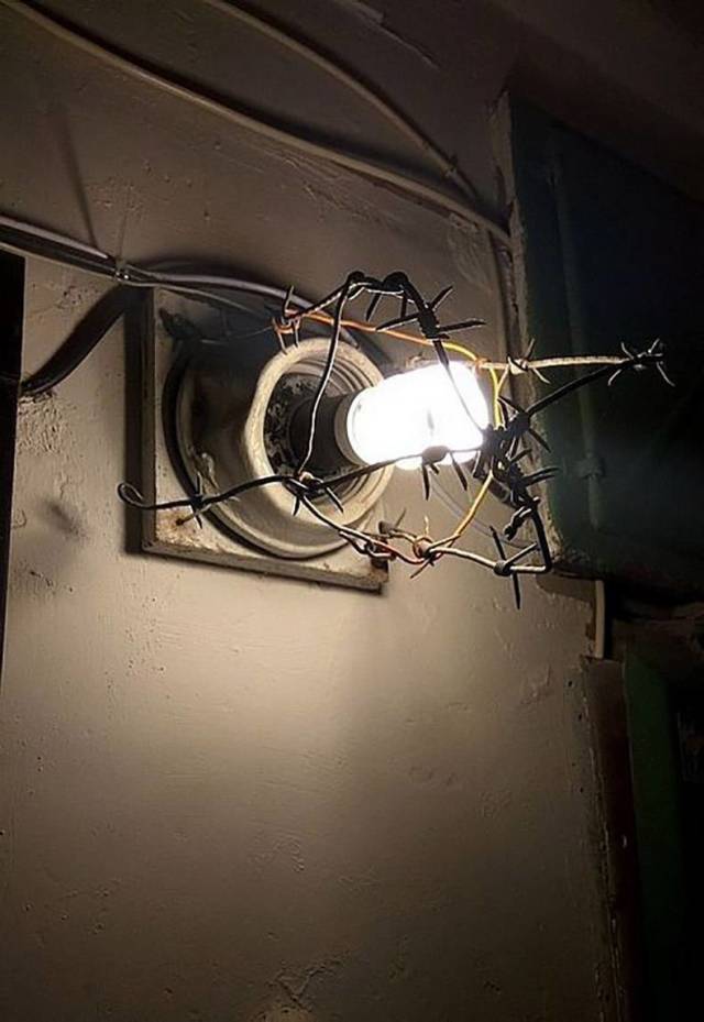 daily picdump weekend edition 77 pics 29.html - 77 HD Photos | Premium Gallery 2018