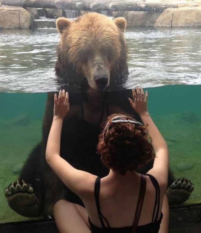 daily picdump weekend edition 77 pics 29.html - 77 HD Photos | Premium Gallery 2018