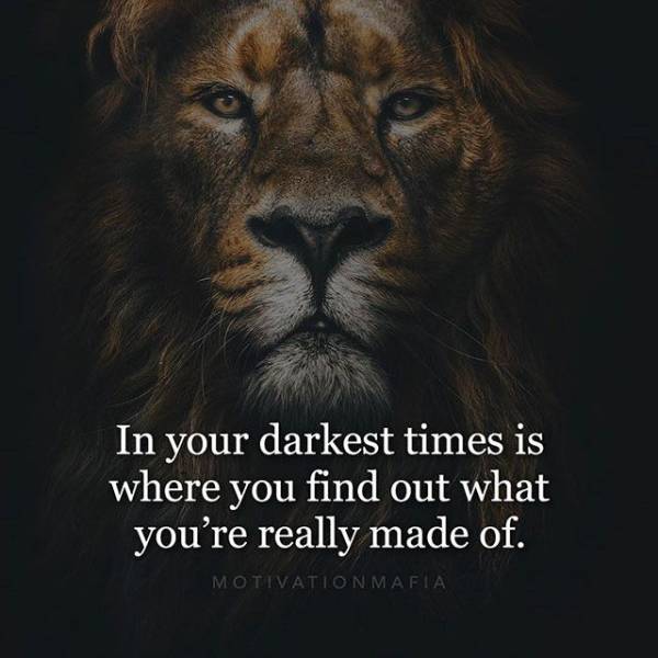 Motivation Will Never Stop