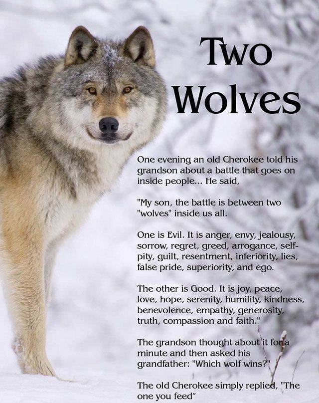 Motivation Will Never Stop