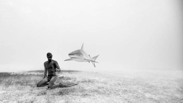 daily picdump 104 pics 12.html - 104 HD Photos | Premium Gallery 2018