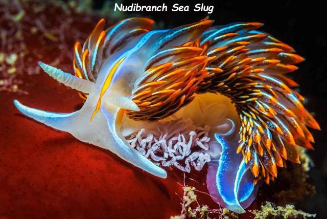 daily picdump 104 pics 12.html - 104 HD Photos | Premium Gallery 2018