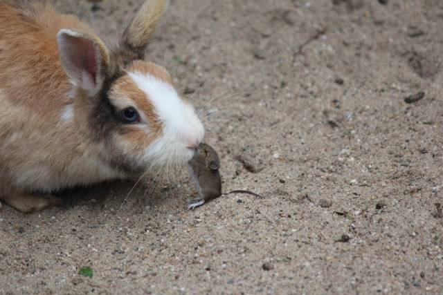 daily picdump 104 pics 12.html - 104 HD Photos | Premium Gallery 2018