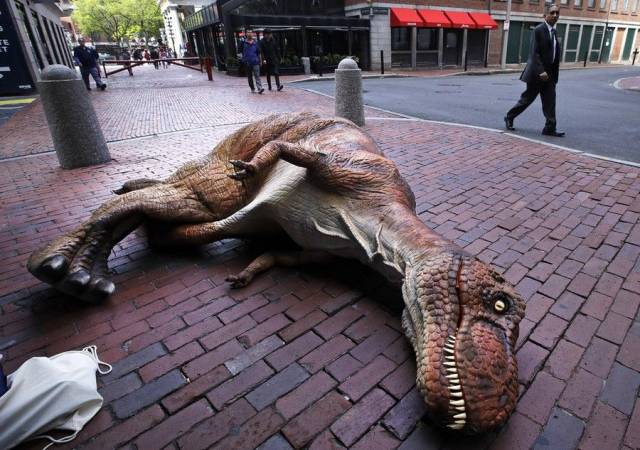 daily picdump 104 pics 12.html - 104 HD Photos | Premium Gallery 2018