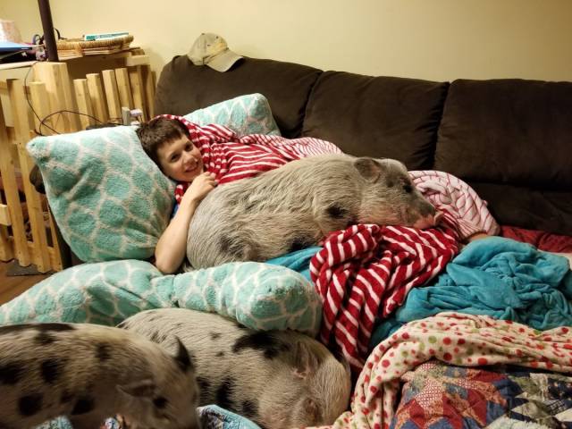 daily picdump 104 pics 12.html - 104 HD Photos | Premium Gallery 2018