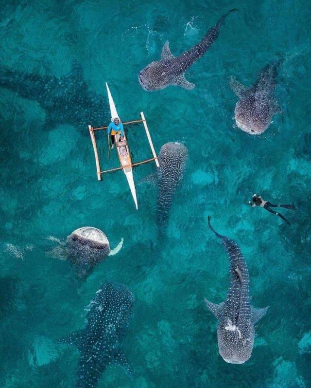 daily picdump 104 pics 12.html - 104 HD Photos | Premium Gallery 2018