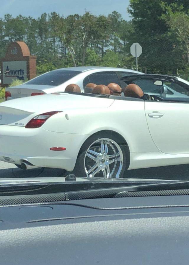 daily picdump 104 pics 12.html - 104 HD Photos | Premium Gallery 2018