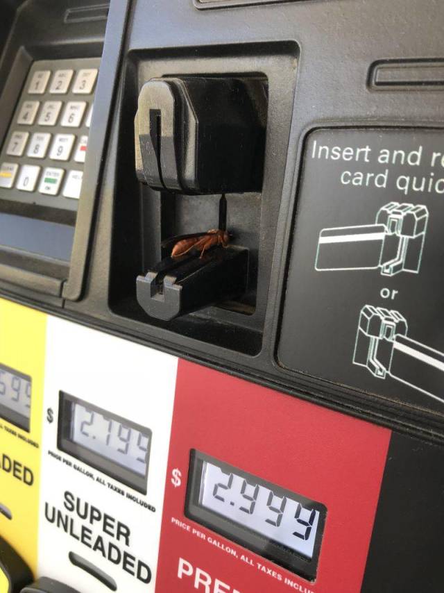 daily picdump 104 pics 12.html - 104 HD Photos | Premium Gallery 2018