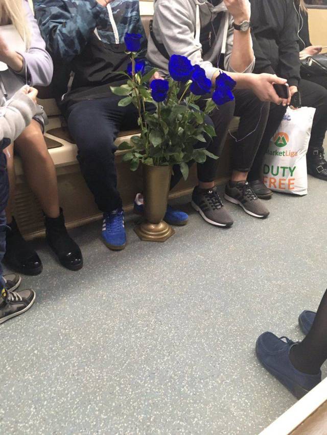 daily picdump 104 pics 12.html - 104 HD Photos | Premium Gallery 2018