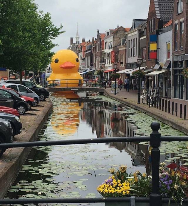 daily picdump 104 pics 12.html - 104 HD Photos | Premium Gallery 2018