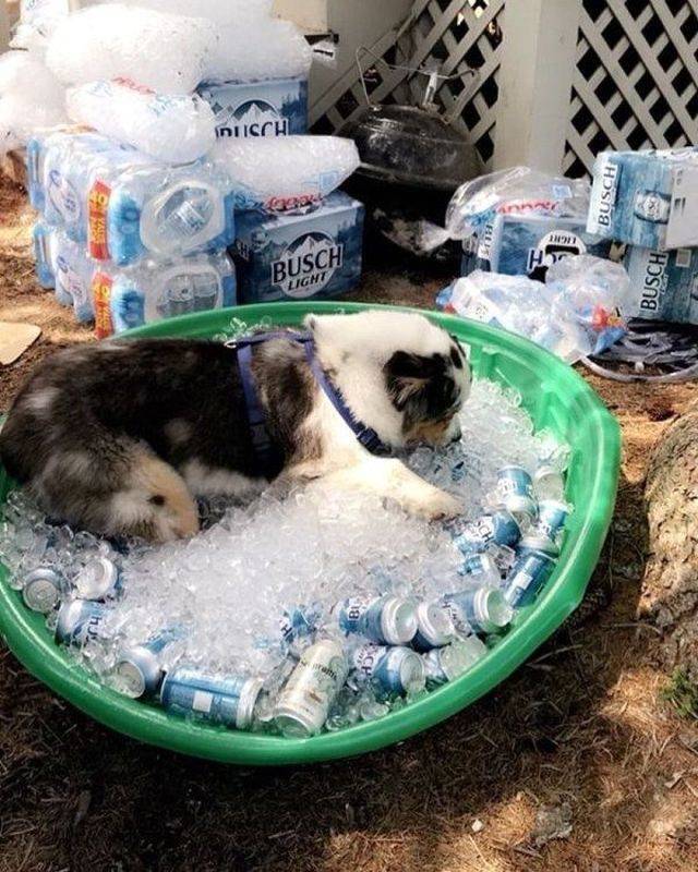 daily picdump 104 pics 12.html - 104 HD Photos | Premium Gallery 2018