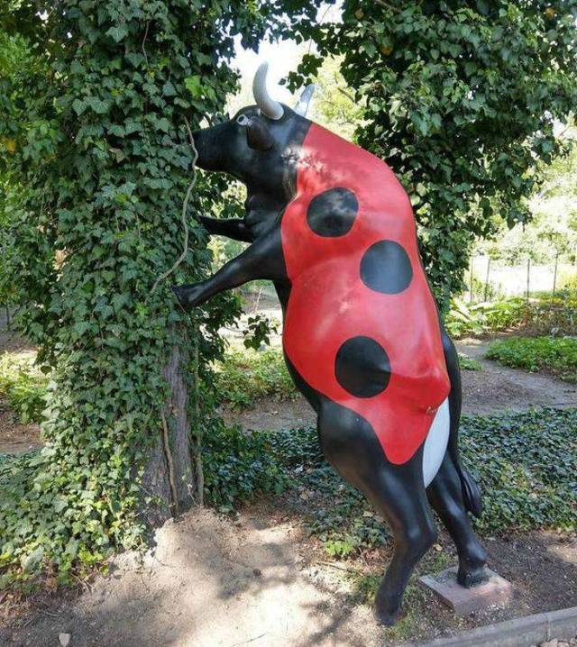 Hard-to-explain WTF Photos