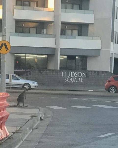 Australia: Where Very Good Comes With Very Bad