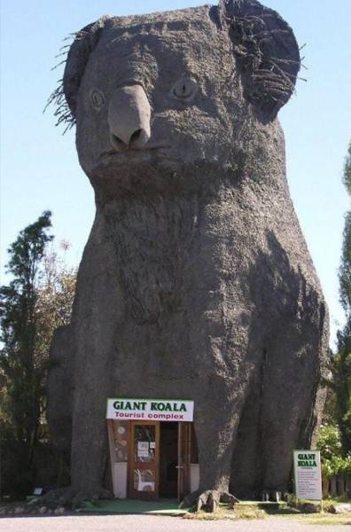 Australia: Where Very Good Comes With Very Bad