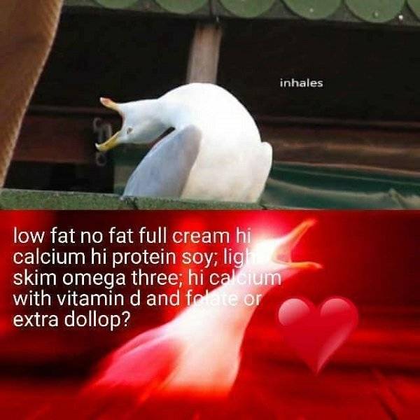 Australia: Where Very Good Comes With Very Bad