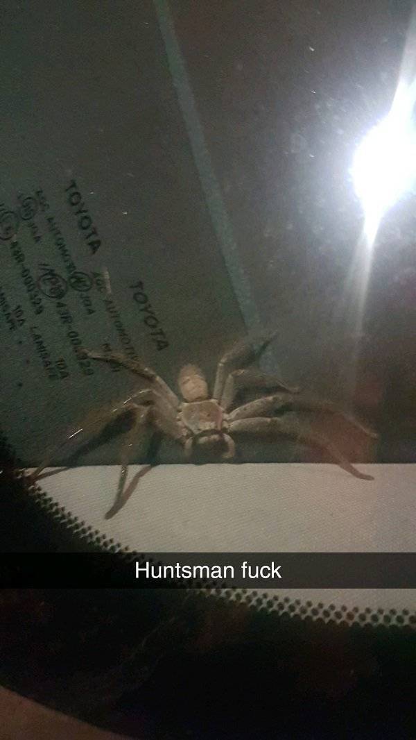 Australia: Where Very Good Comes With Very Bad