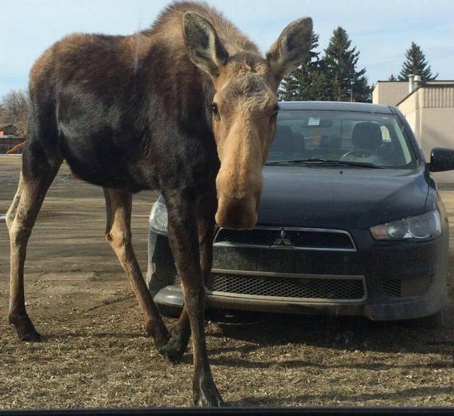 daily picdump 93 pics 9.html - 93 HD Photos | Premium Gallery 2018