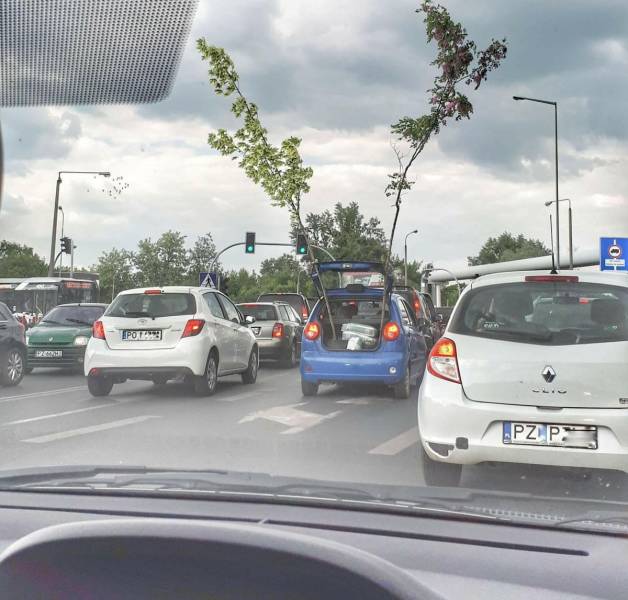 daily picdump 93 pics 9.html - 93 HD Photos | Premium Gallery 2018