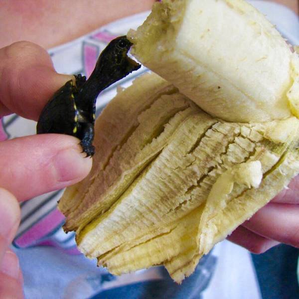 daily picdump 93 pics 9.html - 93 HD Photos | Premium Gallery 2018