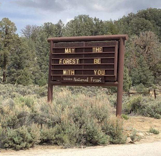 daily picdump 93 pics 9.html - 93 HD Photos | Premium Gallery 2018