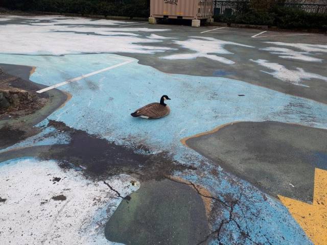 daily picdump 93 pics 9.html - 93 HD Photos | Premium Gallery 2018