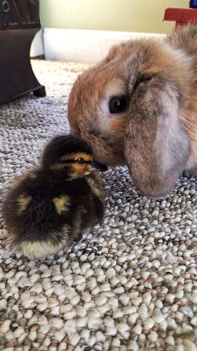 daily picdump 93 pics 9.html - 93 HD Photos | Premium Gallery 2018