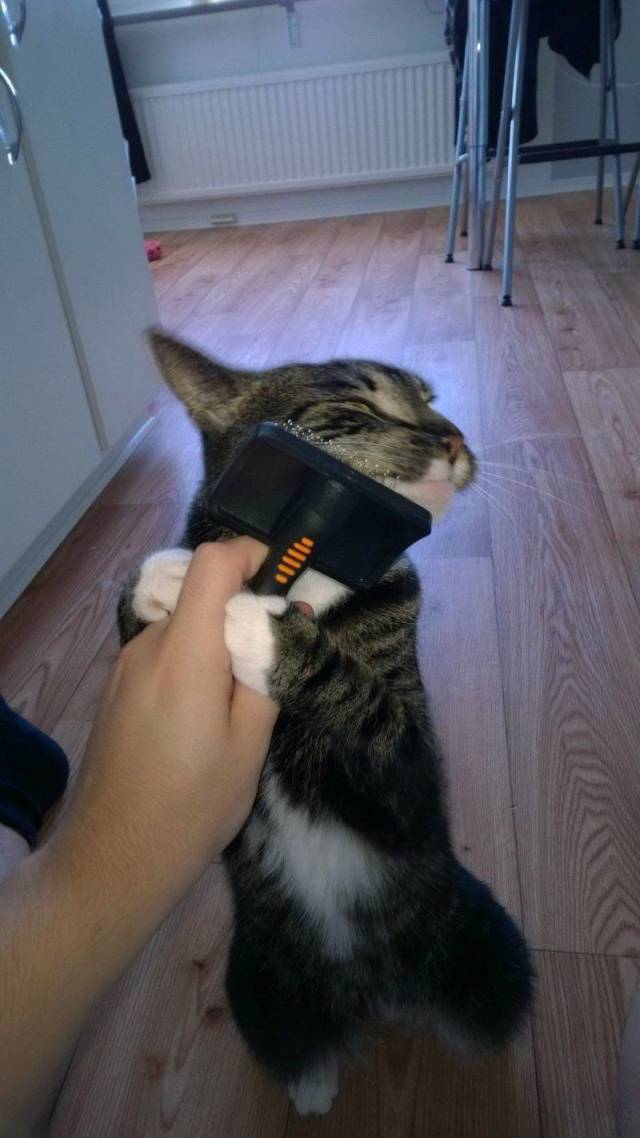 daily picdump 93 pics 9.html - 93 HD Photos | Premium Gallery 2018