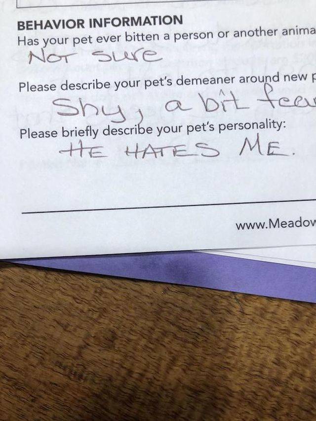 daily picdump 93 pics 9.html - 93 HD Photos | Premium Gallery 2018