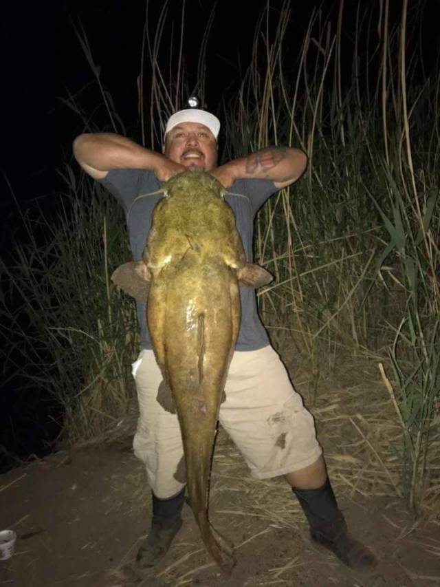 daily picdump 93 pics 9.html - 93 HD Photos | Premium Gallery 2018