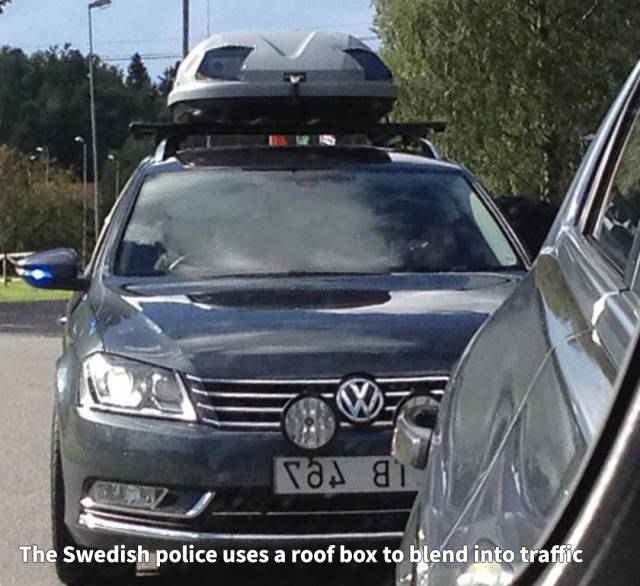 morning picdump 50 pics 20.html - 50 HD Photos | Premium Gallery 2018