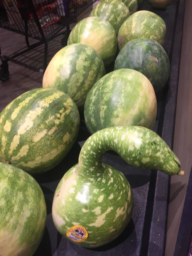 morning picdump 50 pics 20.html - 50 HD Photos | Premium Gallery 2018