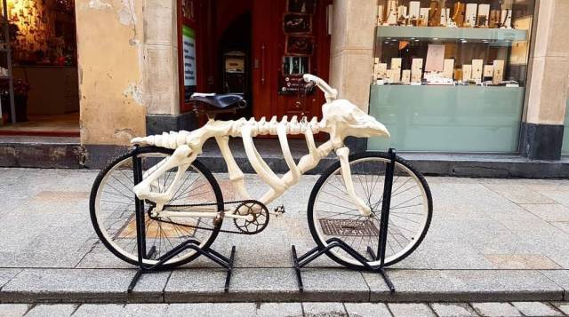 daily picdump 99 pics 32.html - 99 HD Photos | Premium Gallery 2018