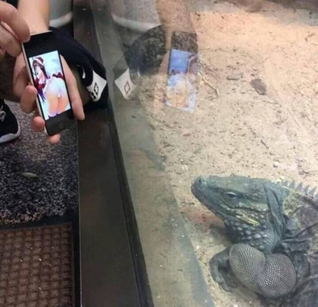 daily picdump 99 pics 32.html - 99 HD Photos | Premium Gallery 2018