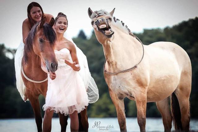 daily picdump 99 pics 32.html - 99 HD Photos | Premium Gallery 2018