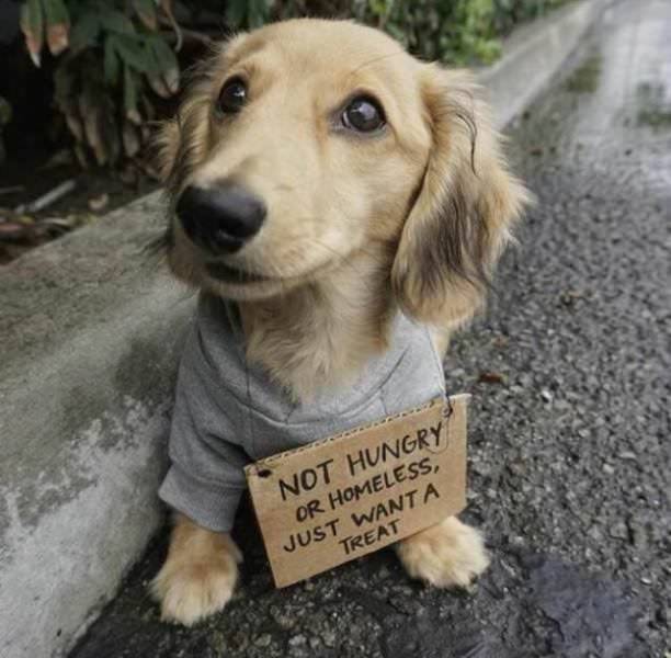 daily picdump 99 pics 32.html - 99 HD Photos | Premium Gallery 2018