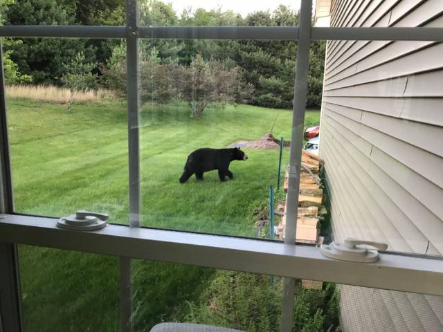 daily picdump 99 pics 32.html - 99 HD Photos | Premium Gallery 2018